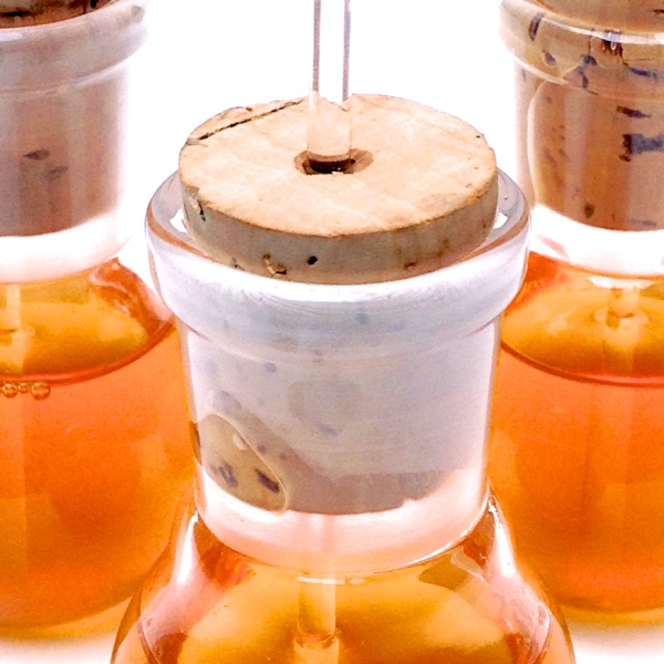 Regenerative face and body creams