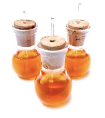 Regenerative Body Cosmetics and Soaps