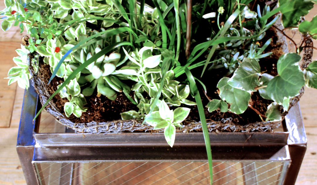 Steel/Glass Container