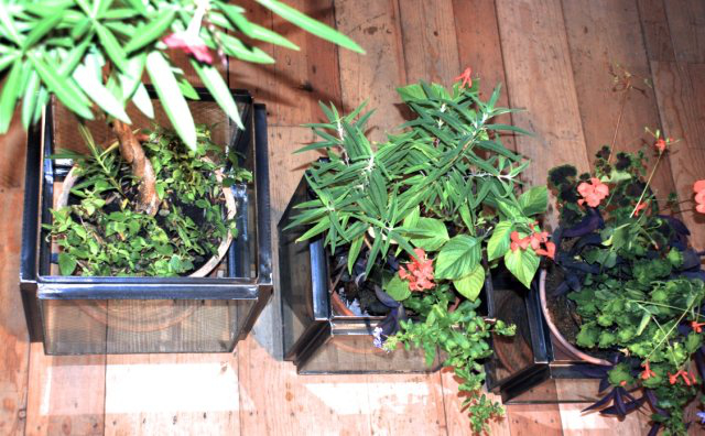 Steel/Glass Container