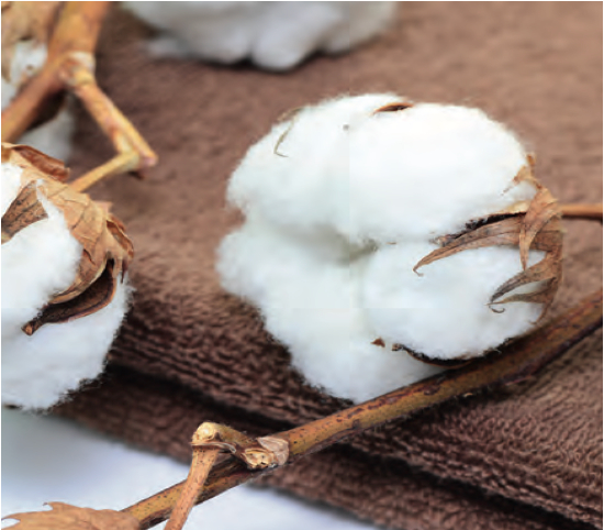 Miners Towels, Cotton Towels, Linnen Towels